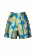 ARVIN SHORTS VERDE AZZURRO DGT5110